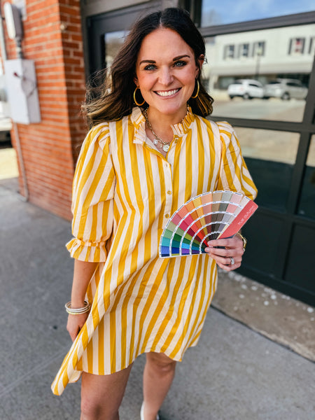 Not My Circus Stripe Dress