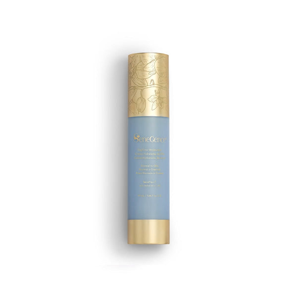 DayTime Moisturizer - Normal to Oily Moisturizers