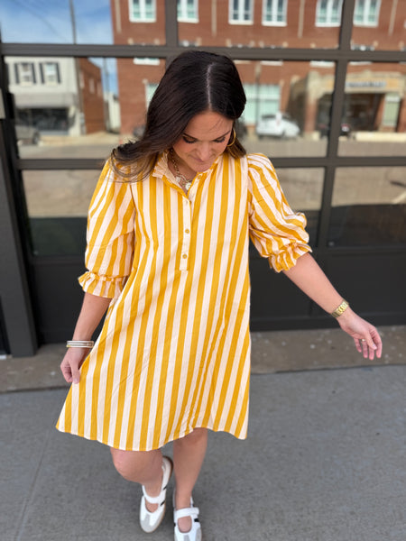 Not My Circus Stripe Dress