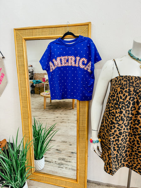 America Map Dot Top