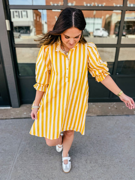 Not My Circus Stripe Dress
