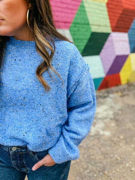 Blue Speckled Sweater