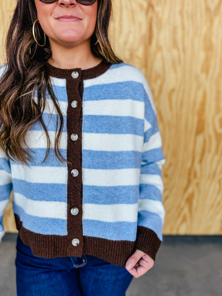 Sky and Brown Stripe Cardigan