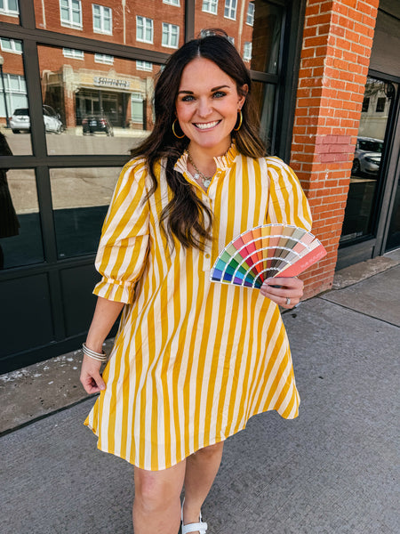 Not My Circus Stripe Dress