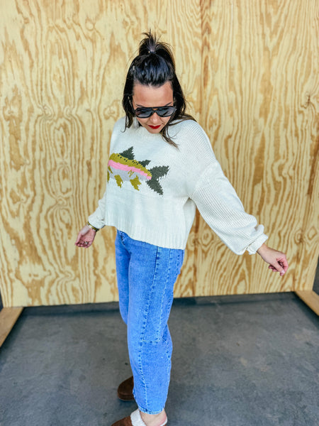 Motif Knit Fish Graphic Chunky Sweater