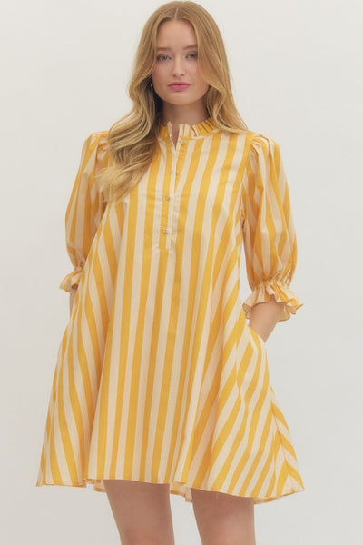 Not My Circus Stripe Dress