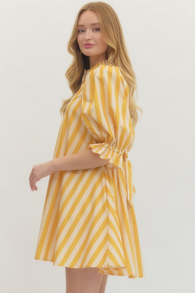 Not My Circus Stripe Dress