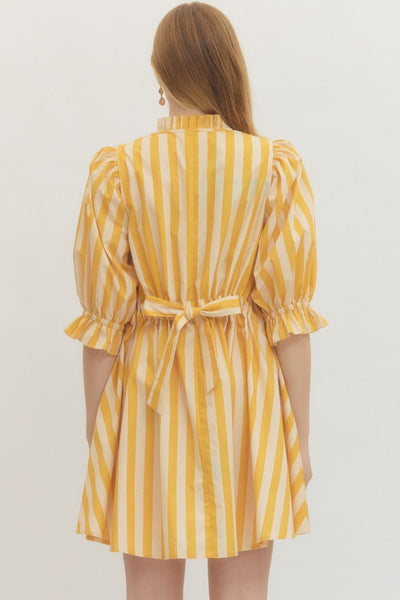 Not My Circus Stripe Dress